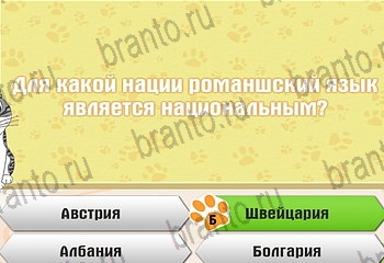 ответы на все уровни игры Самый умный котёнок Уровень 145