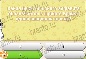 все решения к игре Самый умный котёнок Уровень 147