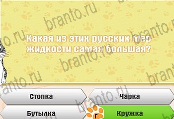 решения на все задания игры Самый умный котёнок Уровень 148