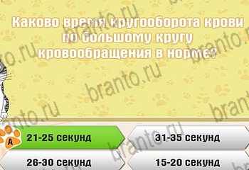 Самый умный котёнок игра из одноклассников помощь Уровень 155