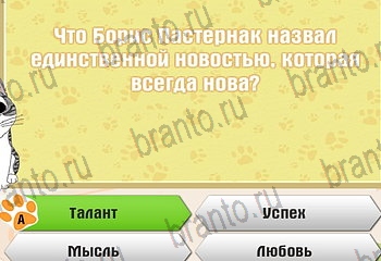 Одноклассники Самый умный котёнок решебник к игре в Одноклассниках Уровень 156