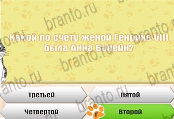 Самый умный котёнок в Одноклассниках найти ответы Уровень 158
