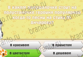 Самый умный котёнок ответы Уровень 160