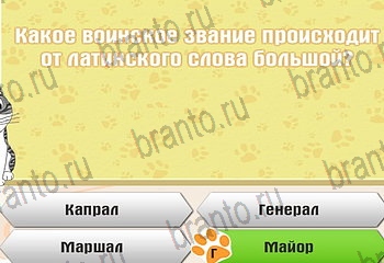 из одноклассников Самый умный котёнок ответы на игру Уровень 162