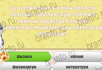 Игра Самый умный котёнок Одноклассники решения Уровень 167