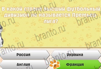 игра Самый умный котёнок все отгадки в Одноклассниках Уровень 170