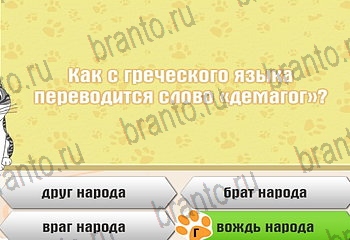 подсказки на все уровни игры Самый умный котёнок Уровень 176