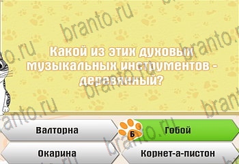 все решения к игре Самый умный котёнок Уровень 177