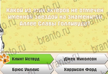 Одноклассники Самый умный котёнок ответ на Уровень 302