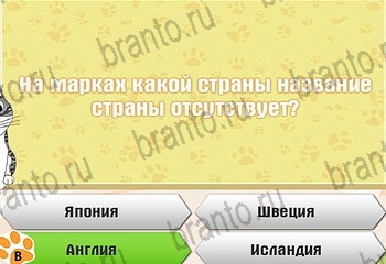 Самый умный котёнок Одноклассники подсказки Уровень 303