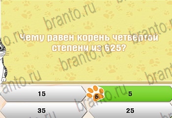 Одноклассники Самый умный котёнок прохождение игры Уровень 304