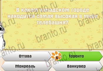 Самый умный котёнок в Одноклассниках найти ответы Уровень 308