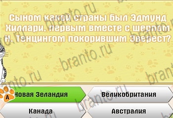 Самый умный котёнок ответы Уровень 310