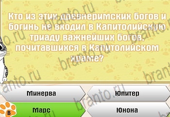 из одноклассников Самый умный котёнок ответы на игру Уровень 312