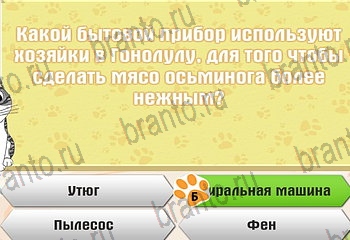 игра Самый умный котёнок все ответы Уровень 324