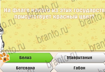 ответы на все уровни игры Самый умный котёнок Уровень 325