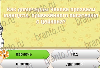 подсказки на все уровни игры Самый умный котёнок Уровень 326
