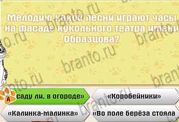 все решения к игре Самый умный котёнок Уровень 327