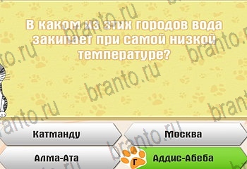 игра Самый умный котёнок ответы уровень 330