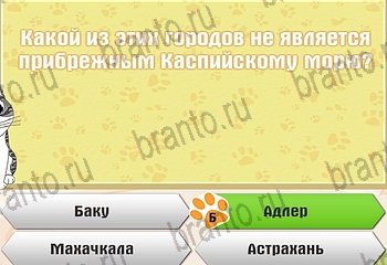 Самый умный котёнок ответы Уровень 331