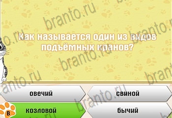 Одноклассники Самый умный котёнок ответ на Уровень 332
