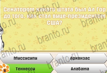 Одноклассники Самый умный котёнок прохождение игры Уровень 334