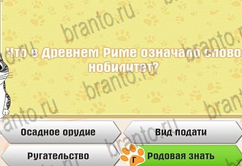 Самый умный котёнок игра из одноклассников помощь Уровень 335