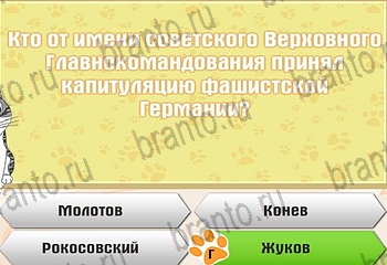 Одноклассники Самый умный котёнок решебник к игре в Одноклассниках Уровень 336