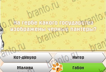 Самый умный котёнок ответы Уровень 340