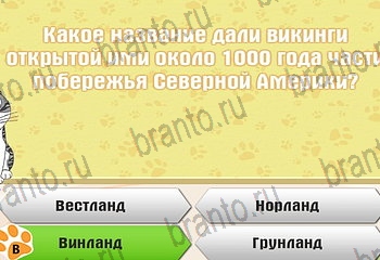 из одноклассников Самый умный котёнок ответы на игру Уровень 342