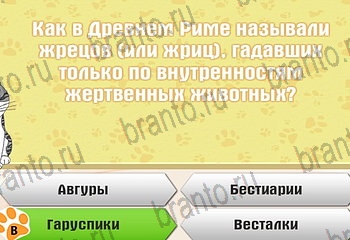 Самый умный котёнок в Одноклассниках подсказки Уровень 343