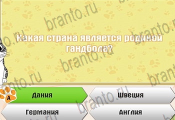 игра Самый умный котёнок из одноклассников подсказки Уровень 344