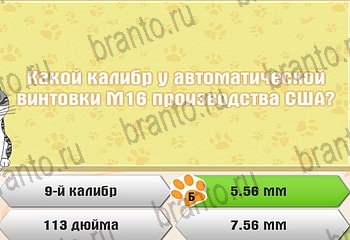 Самый умный котёнок Одноклассники решения на игру Уровень 348