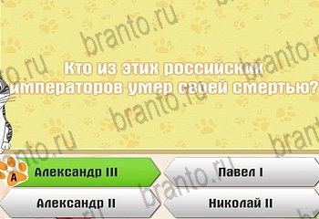 Самый умный котёнок все отгадки Одноклассники Уровень 349