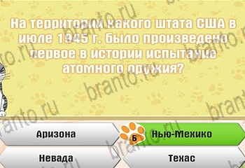 игра Самый умный котёнок все отгадки в Одноклассниках Уровень 350