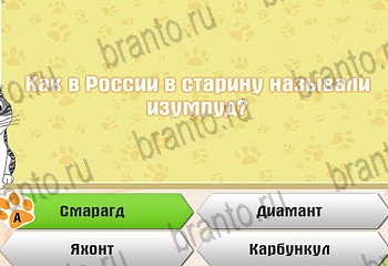 игра Самый умный котёнок разгадки на все задания Уровень 352