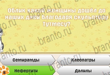 Самый умный котёнок все ответы Уровень 353