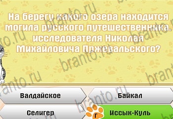 игра Самый умный котёнок все ответы Уровень 354