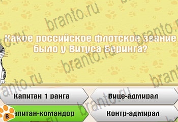 подсказки на все уровни игры Самый умный котёнок Уровень 356