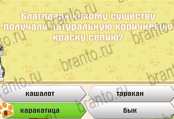 решения на все задания игры Самый умный котёнок Уровень 358