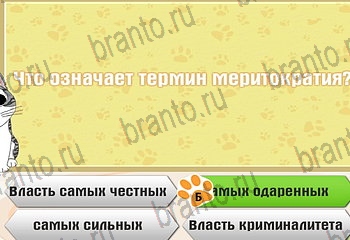 Самый умный котёнок игра ответы Уровень 359