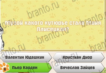 игра Самый умный котёнок ответы уровень 360