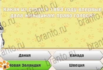Одноклассники Самый умный котёнок ответ на Уровень 182