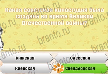 Самый умный котёнок игра из одноклассников помощь Уровень 185