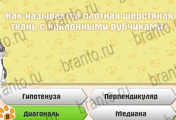 игра Самый умный котёнок из одноклассников подсказки Уровень 194