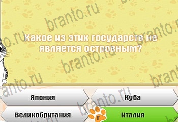 Самый умный котёнок помощь Уровень 195