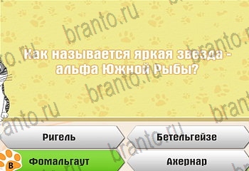 Самый умный котёнок из одноклассников помощь Уровень 196