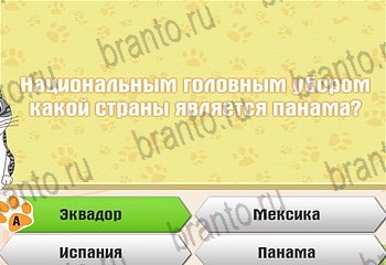 Самый умный котёнок все отгадки Одноклассники Уровень 199