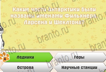 Самый умный котёнок все ответы Уровень 203