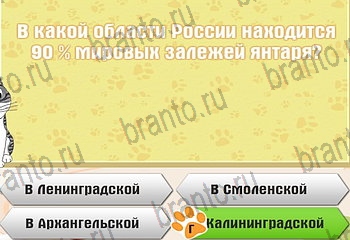 решения на все задания игры Самый умный котёнок Уровень 208